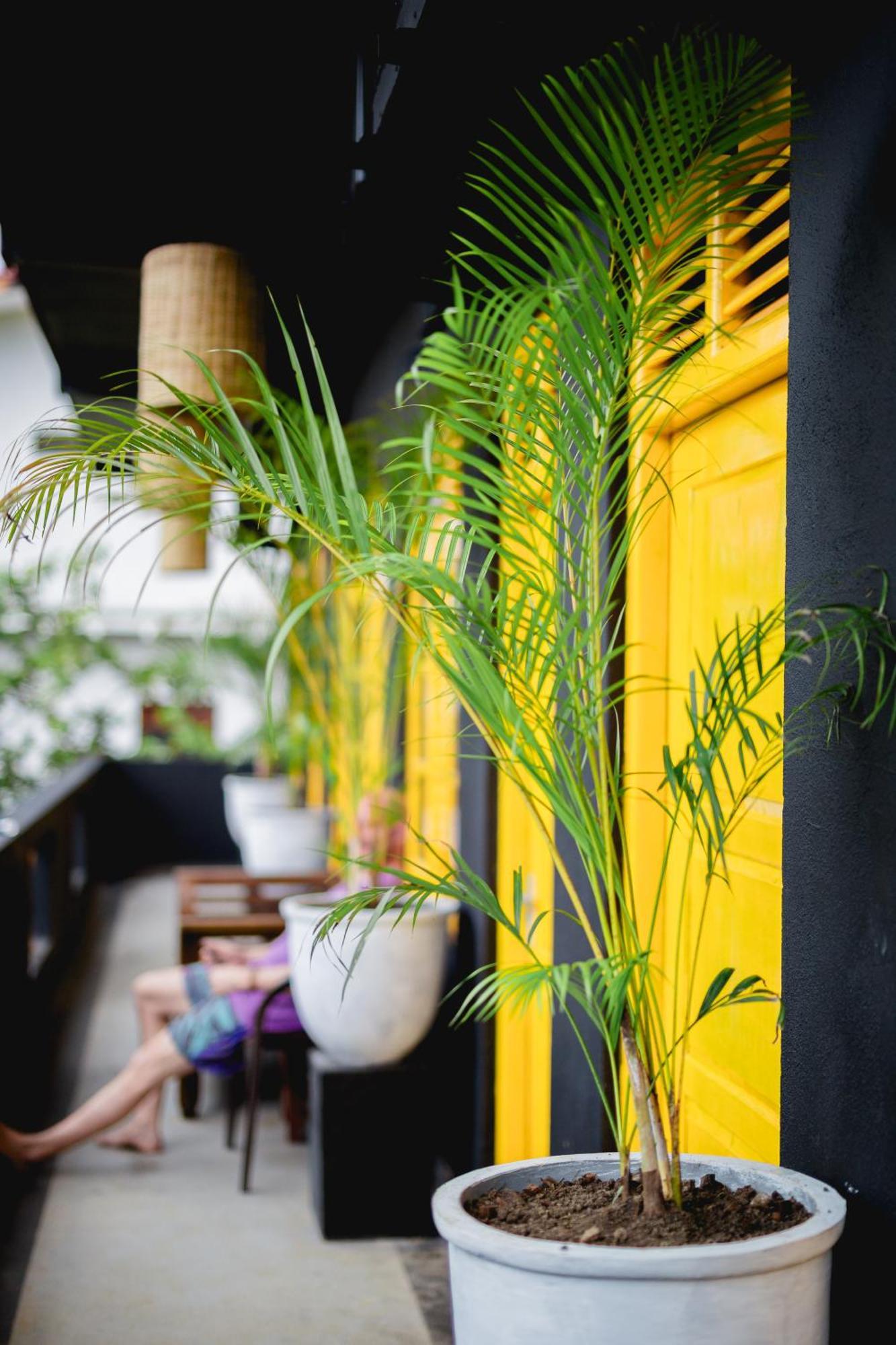 Sugar Hostel Weligama - Coliving & Coworking المظهر الخارجي الصورة
